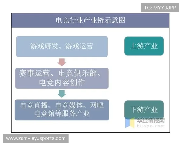 电竞与快消品行业的有效结合：品牌推广，用户覆盖，电竞行业和市场